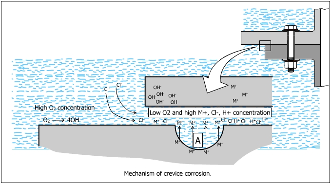 Crevice Corrosion (2/2)